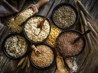 Importance of seeds and grains in your diet