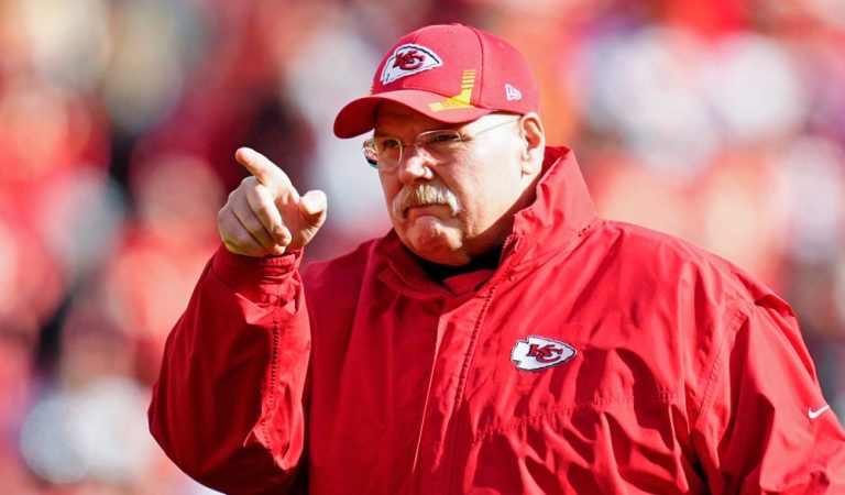 Andy Reid Biography: Wiki Data and Networth